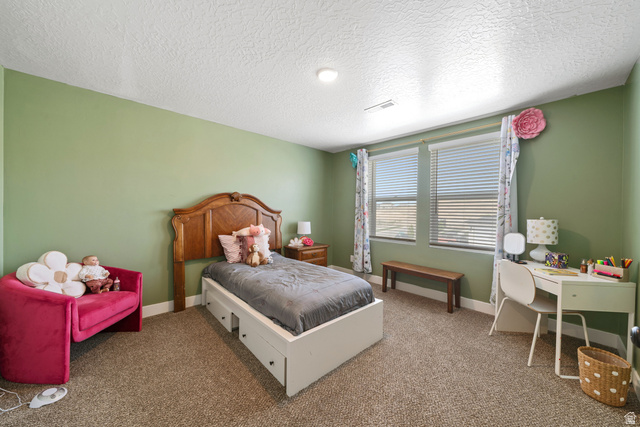 683 West Powderwood Lane Mapleton, UT 84664 - Photo 14 of 28
