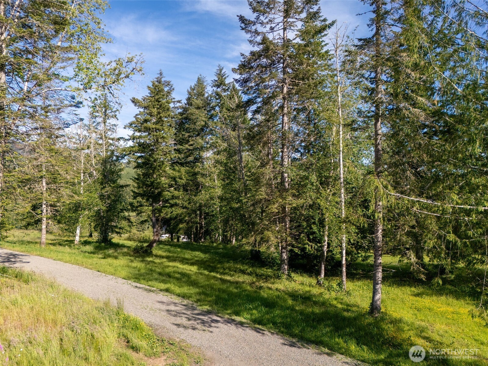 9999 Leland Valley Road West Quilcene, WA 98376 - Photo 5 of 40