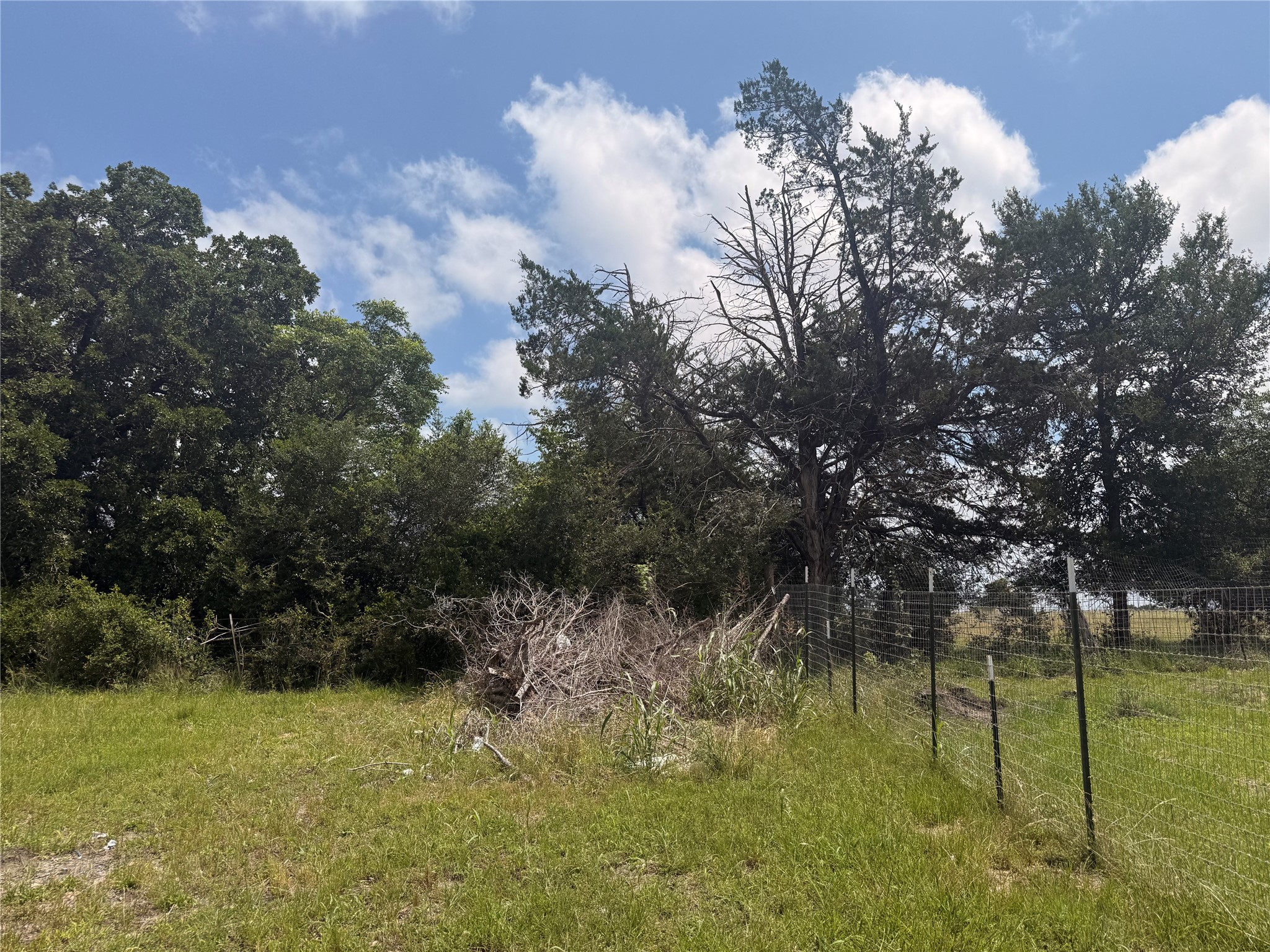 1940 Smoky Road Brenham, TX 77833 - Photo 2 of 14 a backyard of a house with lots of green space