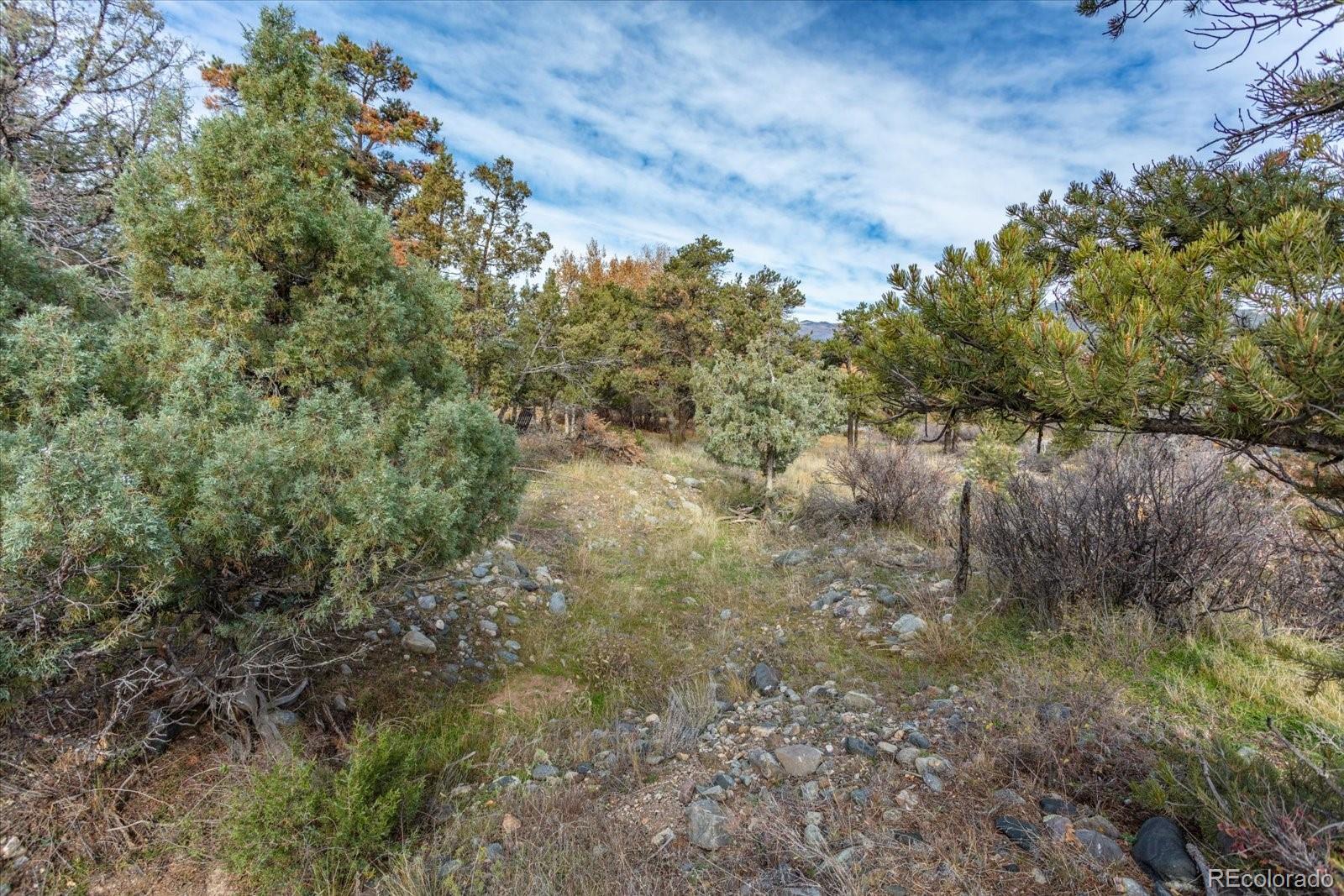 97 Loop Drive Howard, CO 81233 - Photo 15 of 33 a view of a yard with a tree