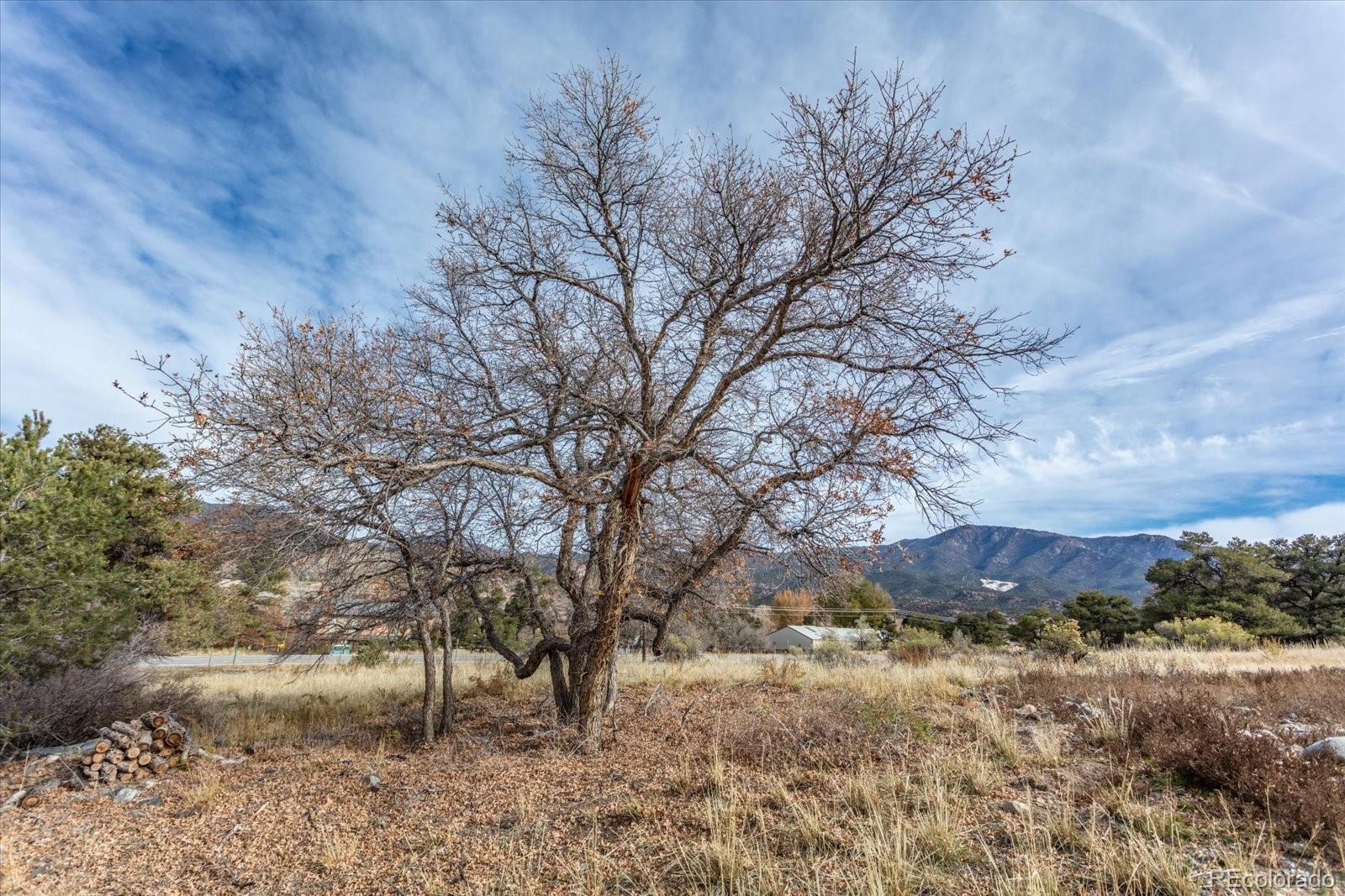 97 Loop Drive Howard, CO 81233 - Photo 21 of 33 a view of a dry yard with trees