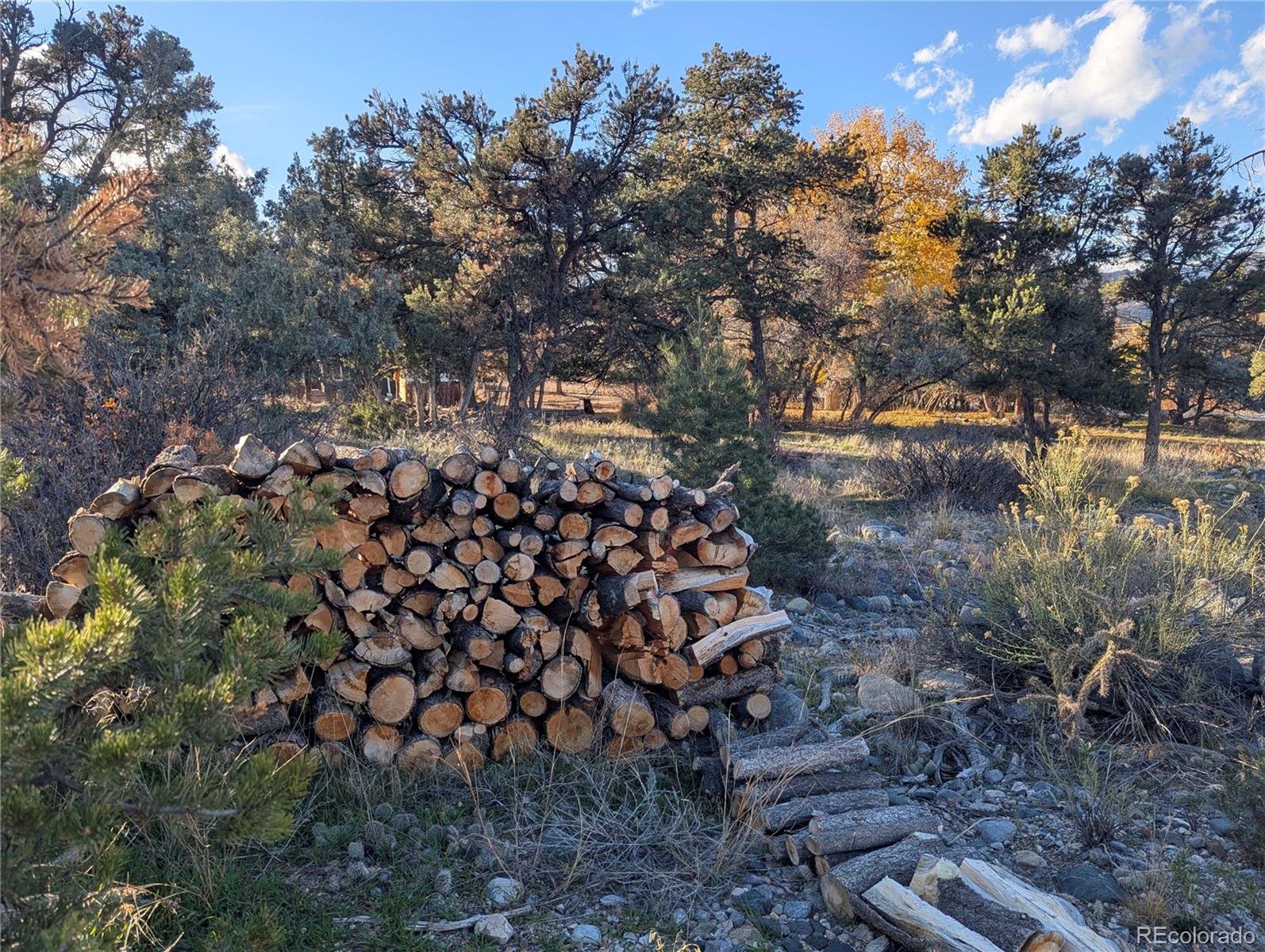 97 Loop Drive Howard, CO 81233 - Photo 28 of 33 a view of a yard