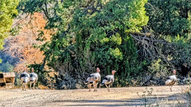 $125,000 | 97 Loop Drive, Howard, CO 81233