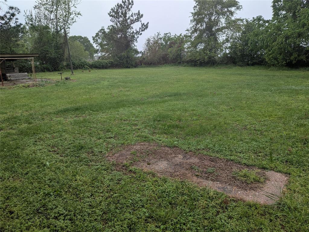 2009 County Road 4619 Athens, TX 75752 - Photo 33 of 36 View of grassy yard