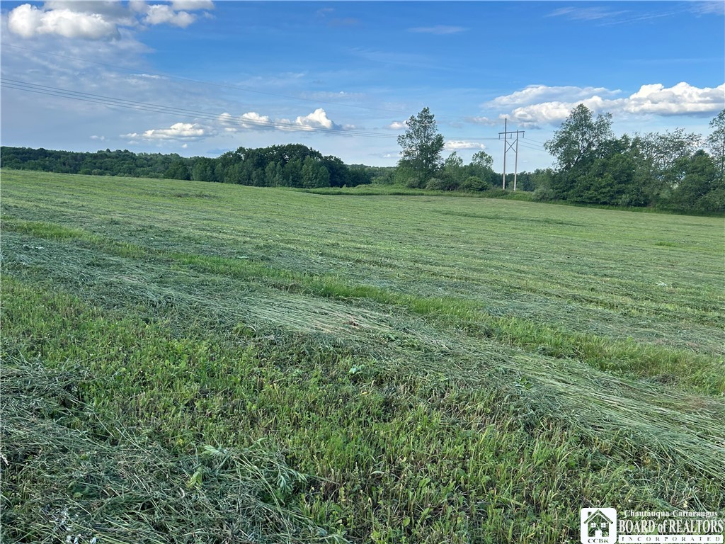 2492 Busti-Stillwater Road Jamestown, NY 14701 - Photo 11 of 33