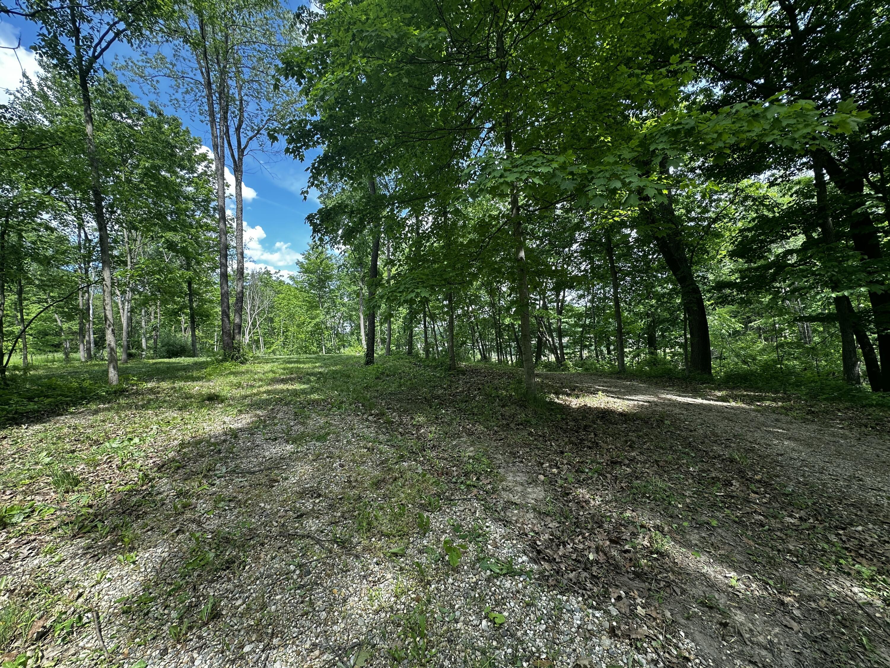 South Norris Road Delton, MI 49046 - Photo 4 of 13 IMG_0954 2