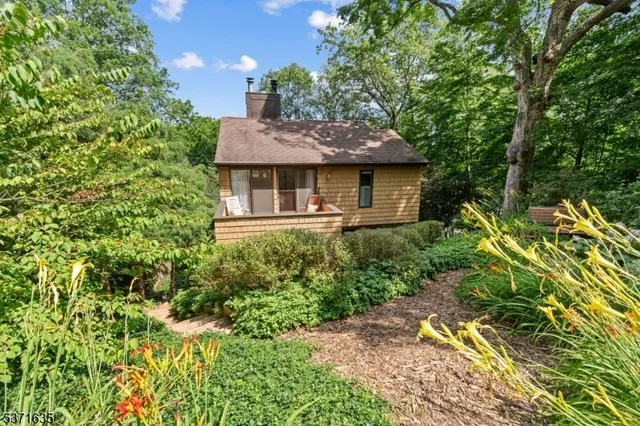 a view of a garden with plants