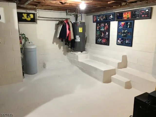 a view of a garden with plants and large trees