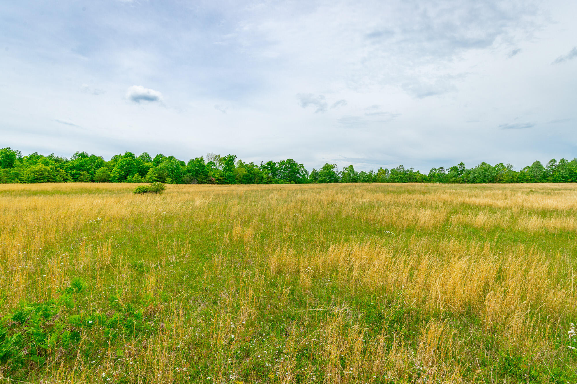 0 Ray Gadd Road Graysville, TN 37338 - Photo 49 of 109 Ray Gadd Road Lot HD-41