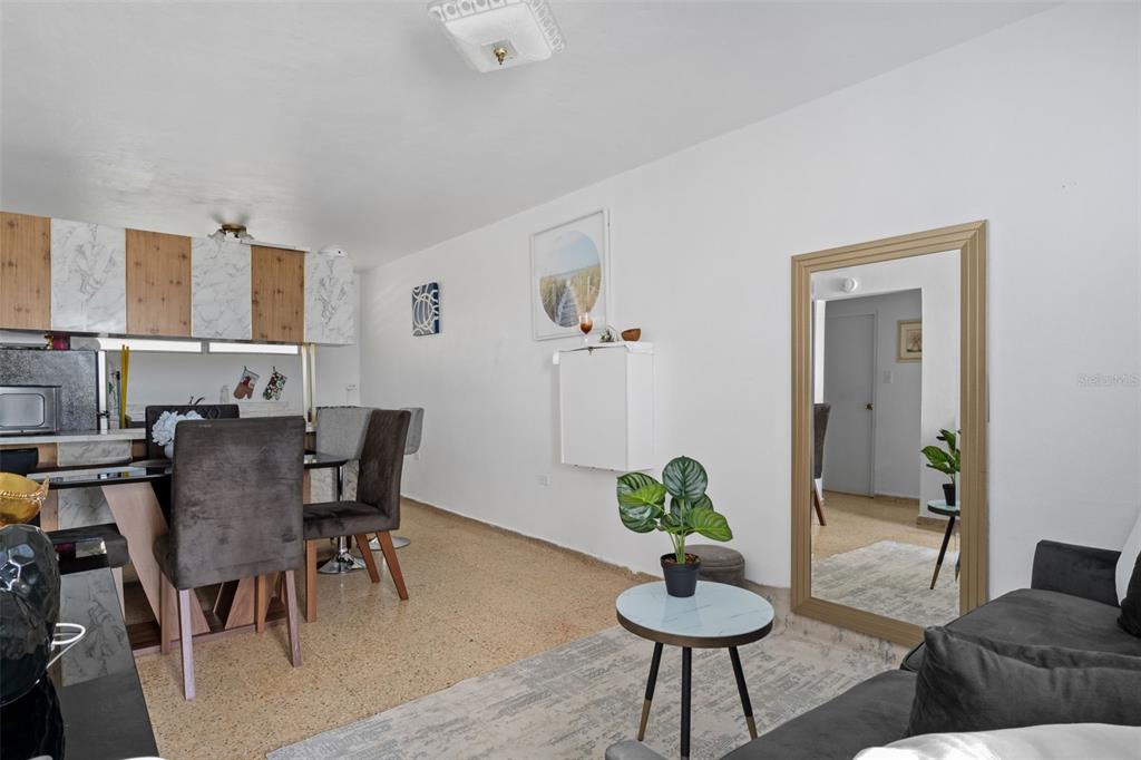 Undisclosed Address San Juan, San Juan 00921 - Photo 9 of 33 a living room with furniture and a potted plant