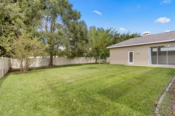 a backyard of a house with plants and large tree