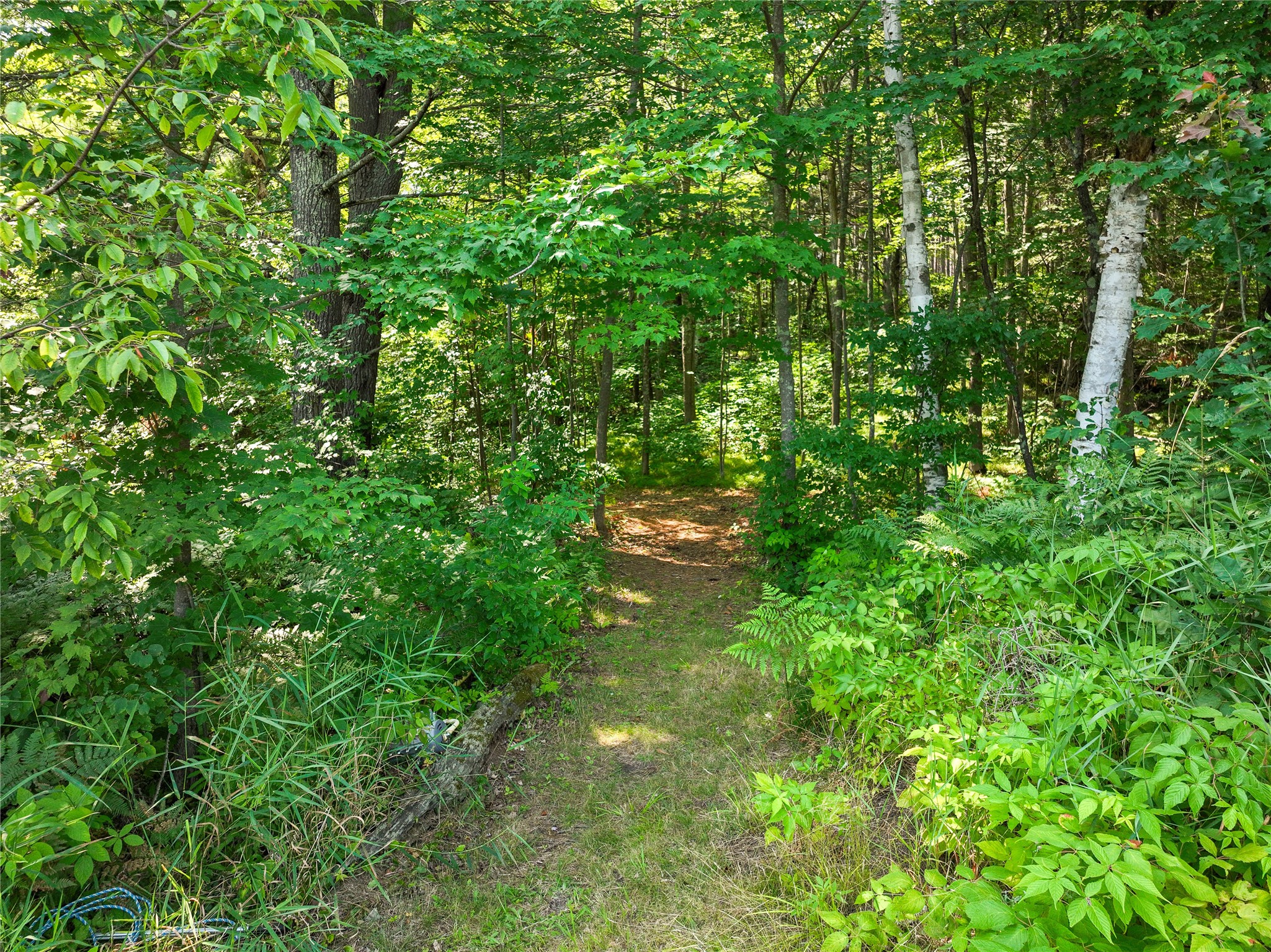 0 Castaway Lane Hayward, WI 54843 - Photo 32 of 36