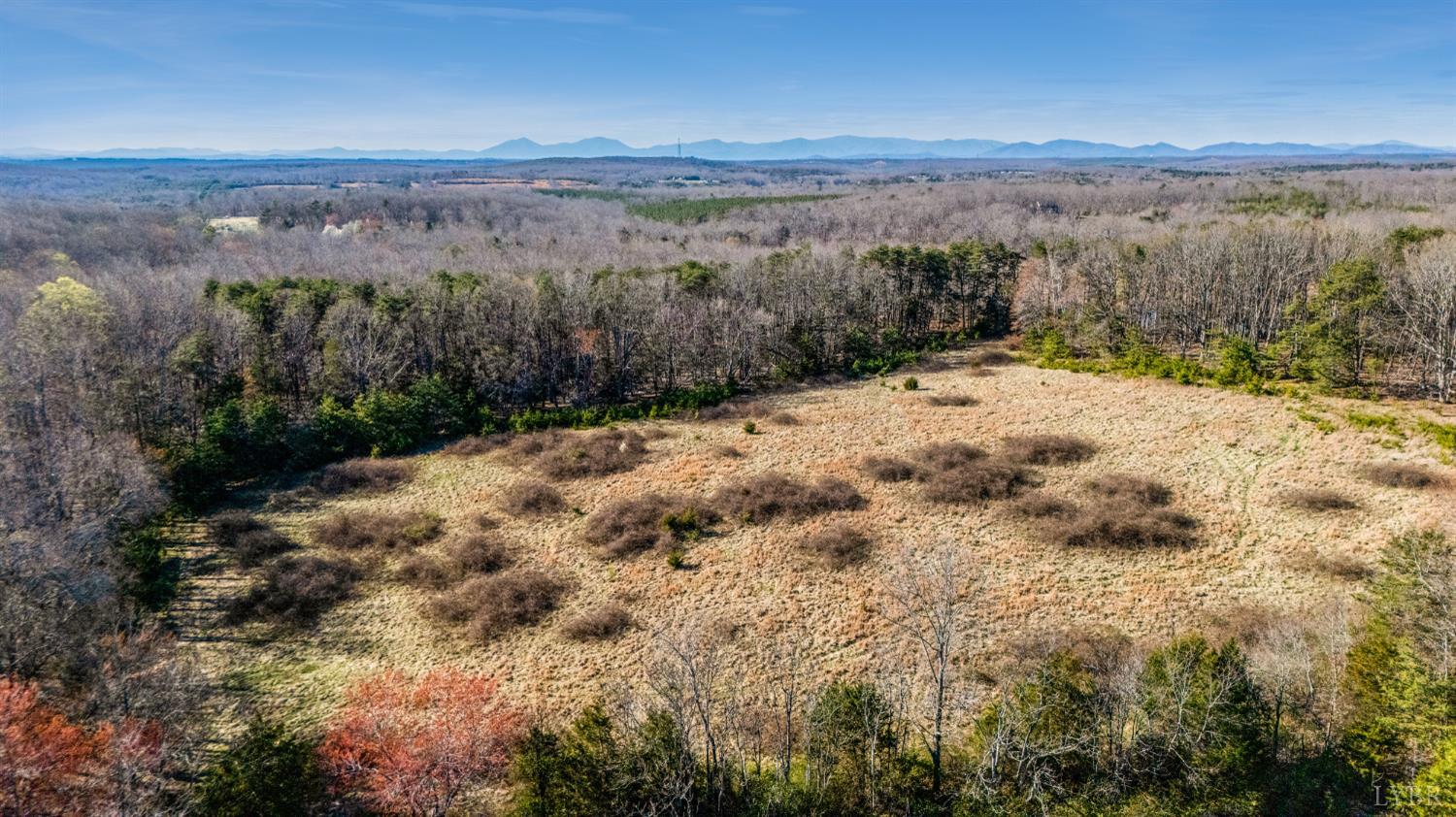 58 Wards Road Evington, VA 24550 - Photo 6 of 17 a view of a field with a mountain in the background