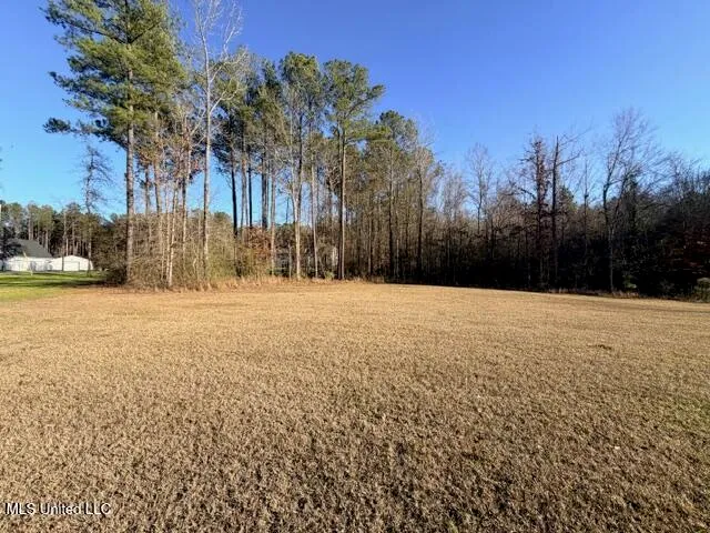 $559,900 | 154 Saddle Ridge, Florence, MS 39073