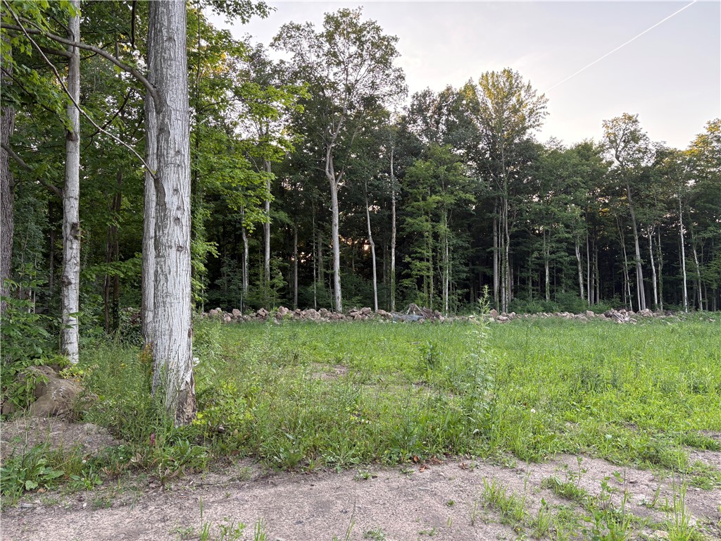 4073 Warner Road Marion, NY 14505 - Photo 45 of 46