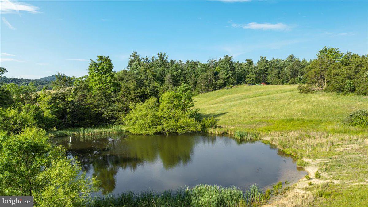 368 Ridge Hollow Road Edinburg, VA 22824 - Photo 95 of 145