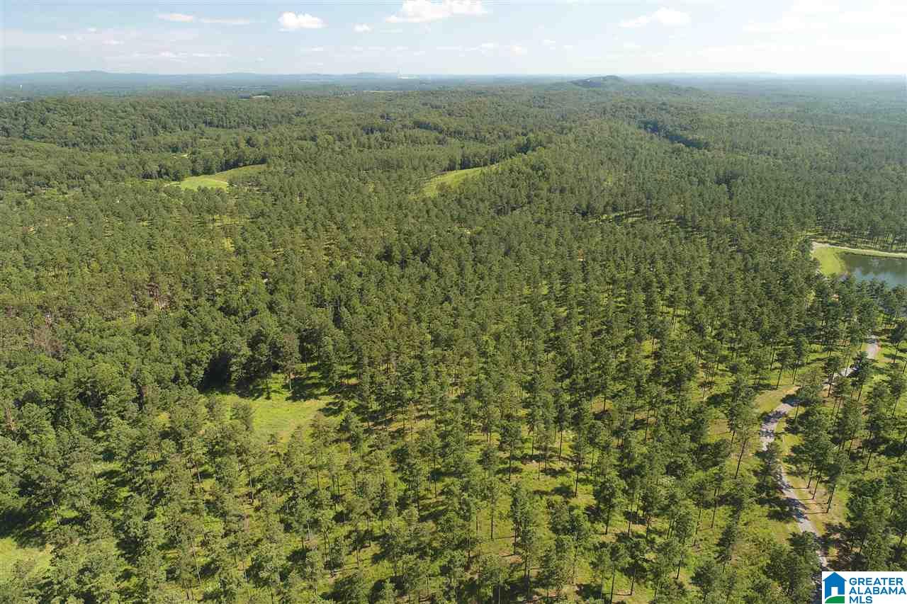 827 Colleton Forest Way, Unit 20 ACRES Vincent, AL 35178 - Photo 27 of 31