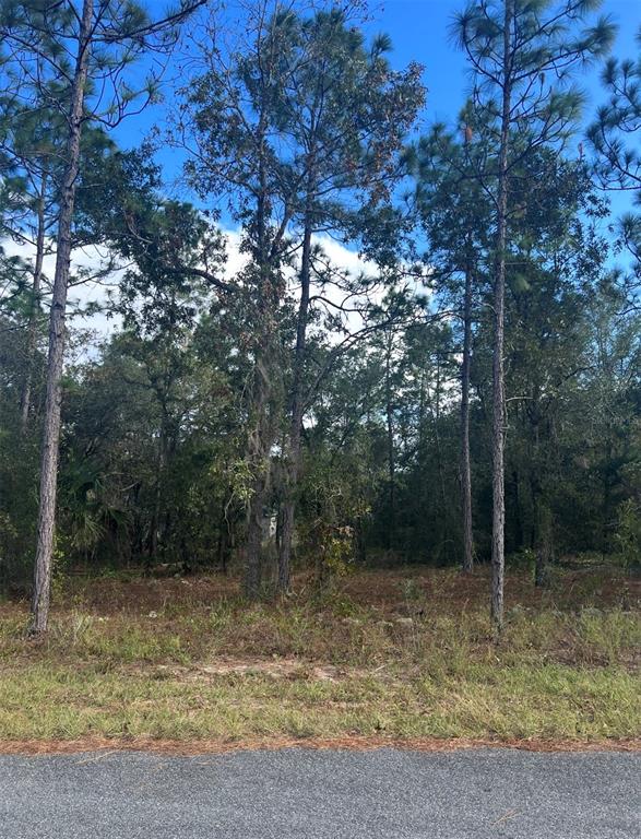 Tbd Locust Loop Place Ocala, FL 34472 - Photo 3 of 5