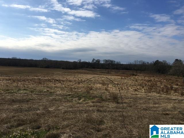 0 County Road 235, Unit 1 Alpine, AL 35014 - Photo 3 of 12