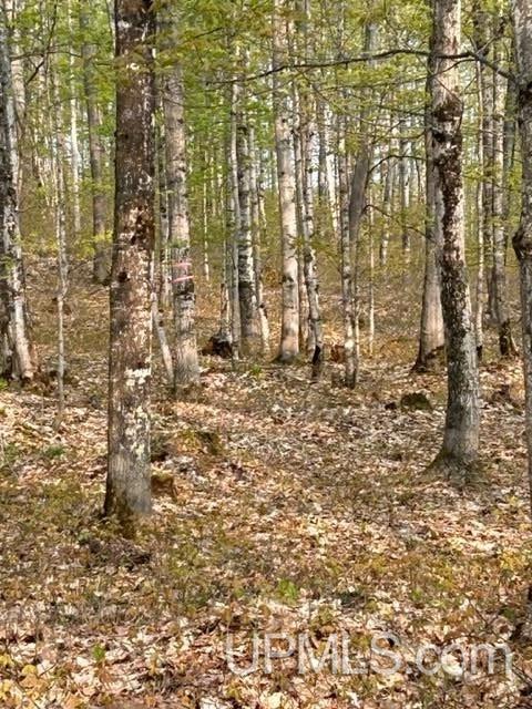 8 Old Co Road Negaunee, MI 49866 - Photo 11 of 14