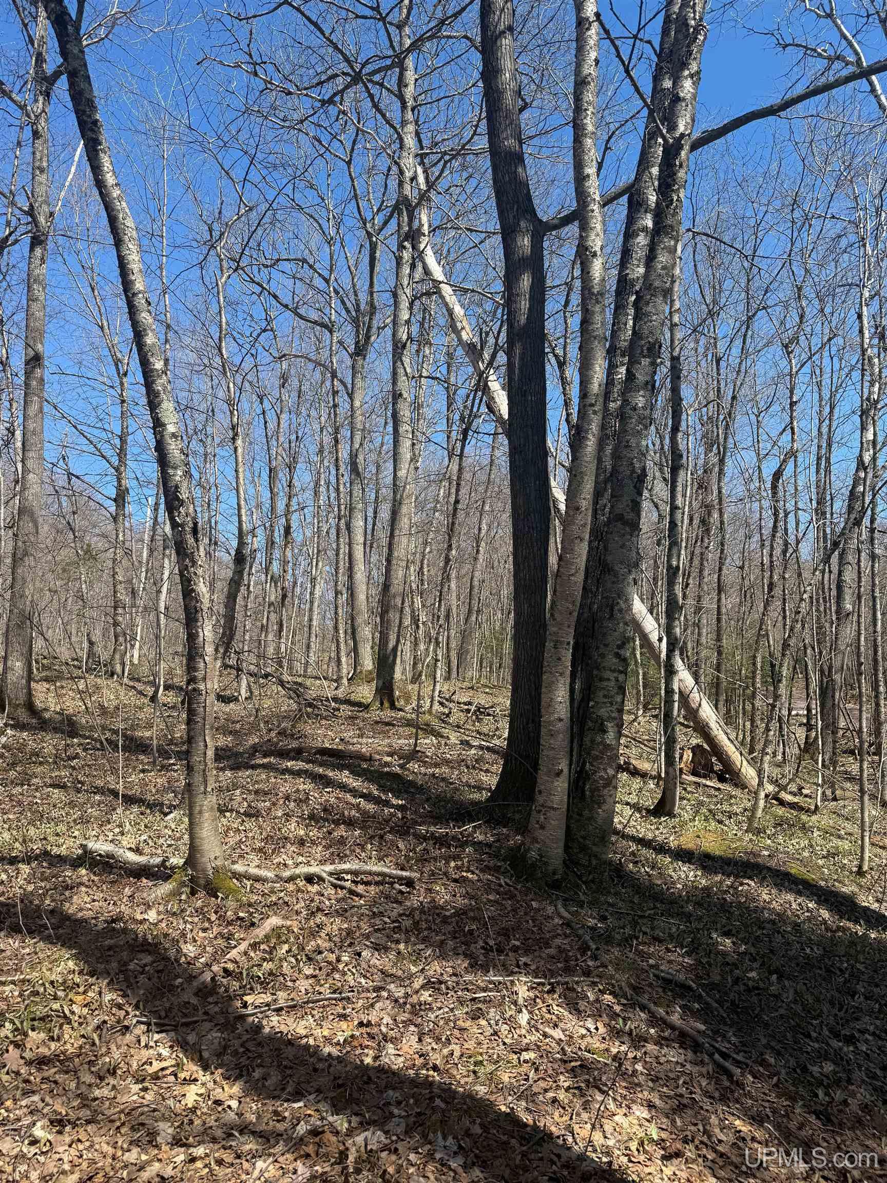 Tbd Victoria Dam Road Rockland, MI 49960 - Photo 20 of 22