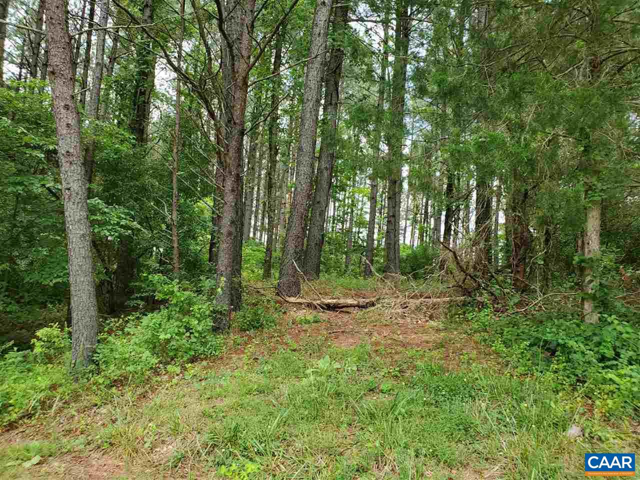 0 Ridgeview Lane Washington, VA 22747 - Photo 14 of 24