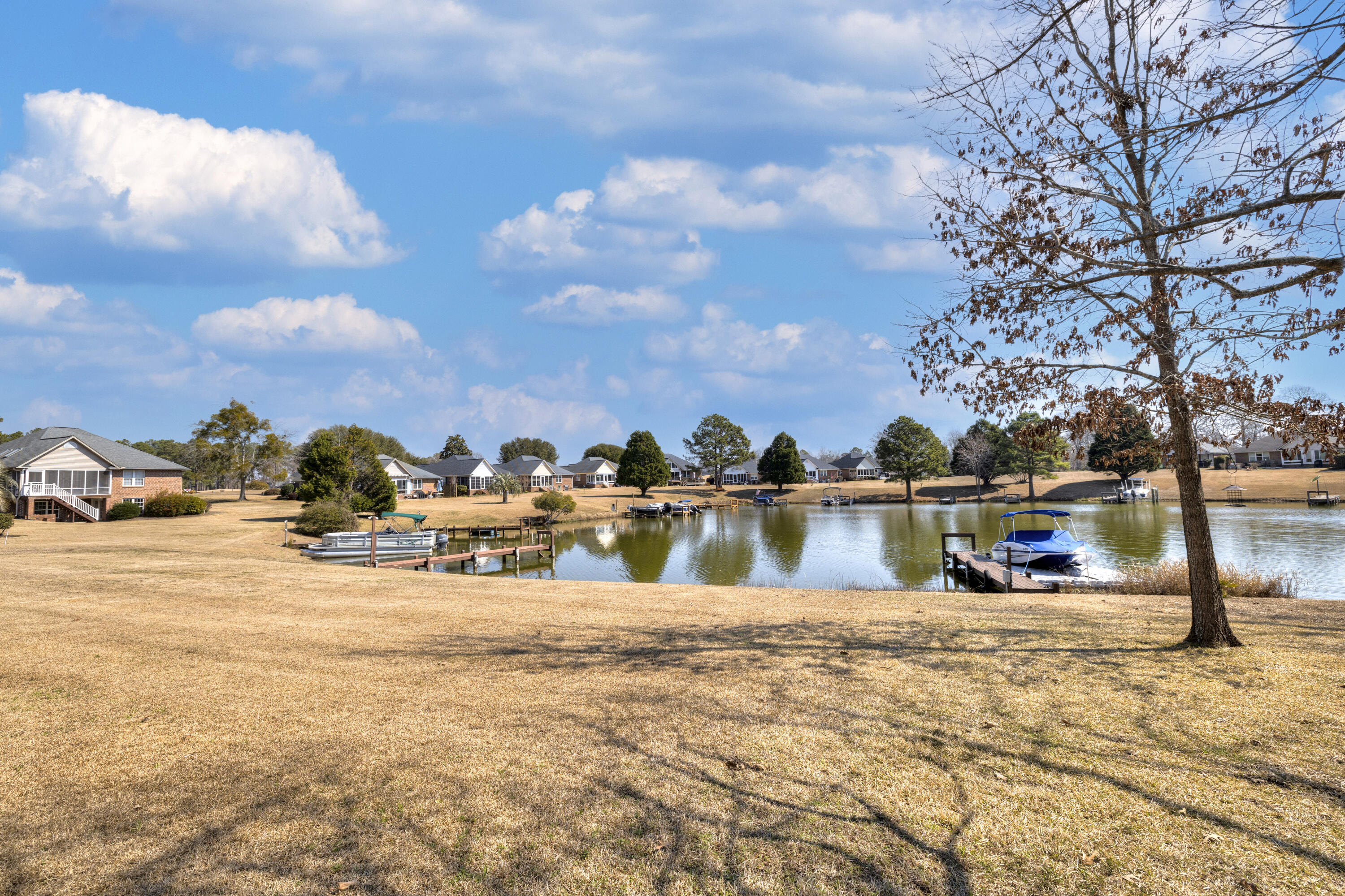 47 North Lake Circle Manning, SC 29102 - Photo 4 of 74 BACK YARD