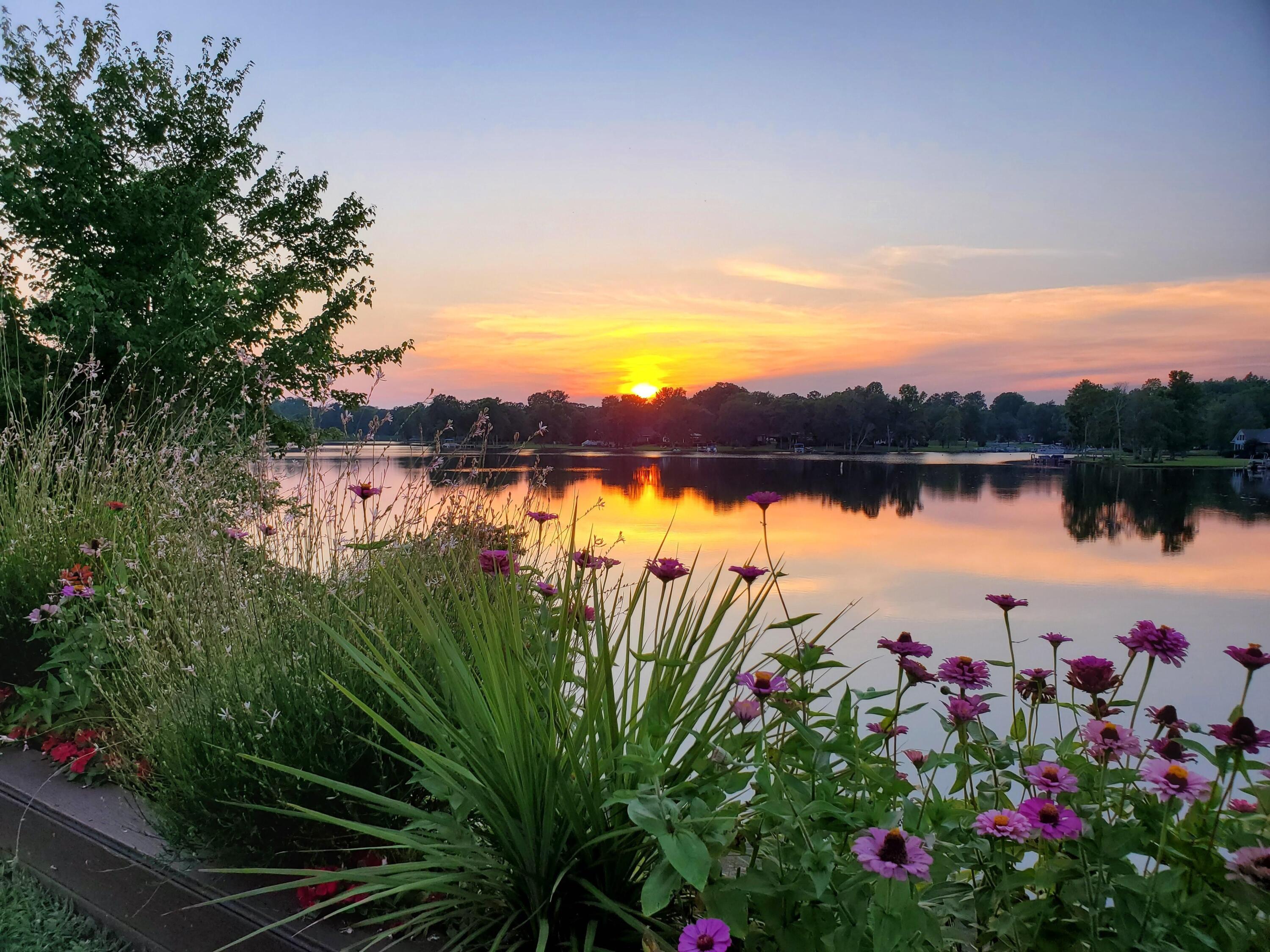 47 North Lake Circle Manning, SC 29102 - Photo 74 of 74 LAKE ARBU SUNSET 2