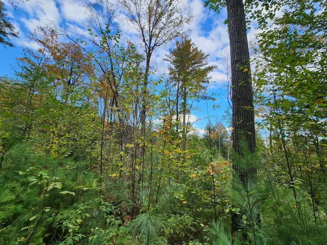 $153,000 | Bagley Hill Road, Unit 66, Warner, NH 03278