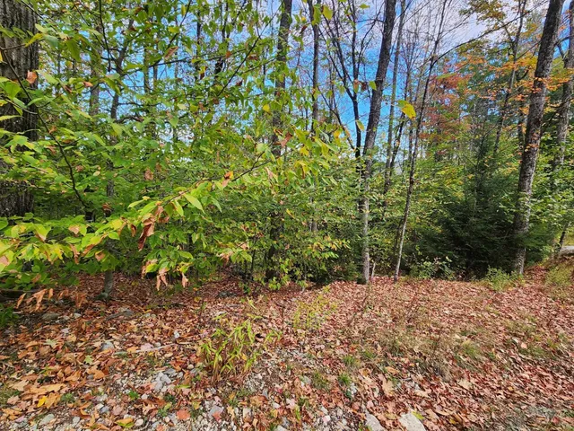 $153,000 | Bagley Hill Road, Unit 66, Warner, NH 03278