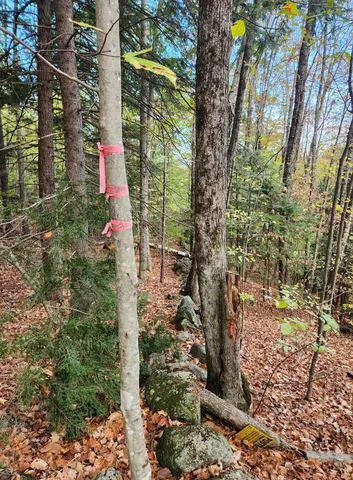 $153,000 | Bagley Hill Road, Unit 66, Warner, NH 03278