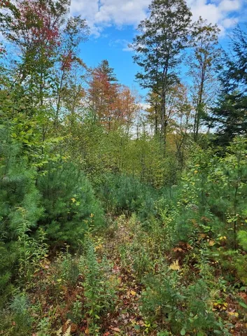 $153,000 | Bagley Hill Road, Unit 66, Warner, NH 03278