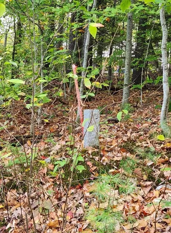 $153,000 | Bagley Hill Road, Unit 66, Warner, NH 03278