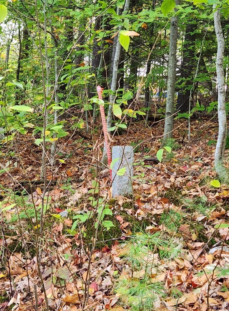 Bagley Hill Road, Unit 66 Warner, NH 03278 - Photo 17 of 22