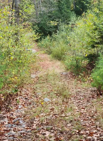 $153,000 | Bagley Hill Road, Unit 66, Warner, NH 03278