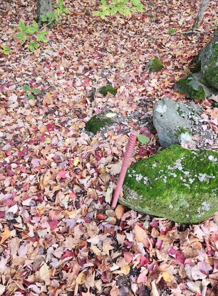 Bagley Hill Road, Unit 66 Warner, NH 03278 - Photo 20 of 22