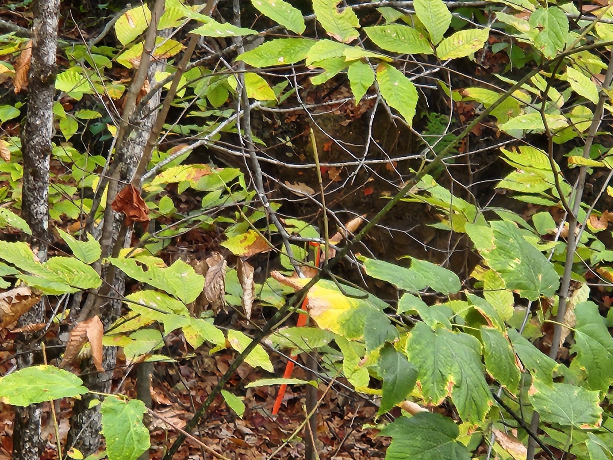 Bagley Hill Road, Unit 66 Warner, NH 03278 - Photo 2 of 22