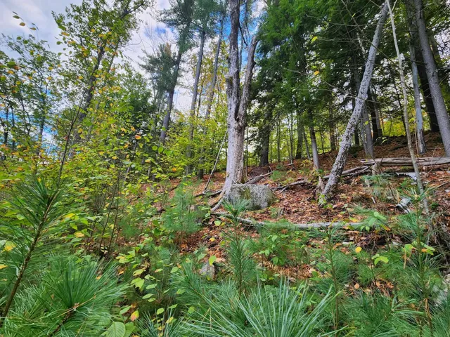 $153,000 | Bagley Hill Road, Unit 66, Warner, NH 03278