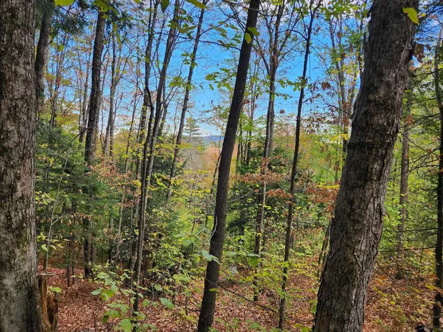 $153,000 | Bagley Hill Road, Unit 66, Warner, NH 03278