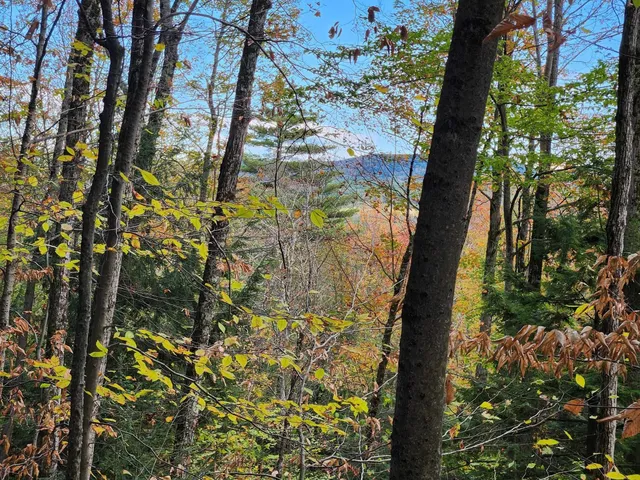 $153,000 | Bagley Hill Road, Unit 66, Warner, NH 03278