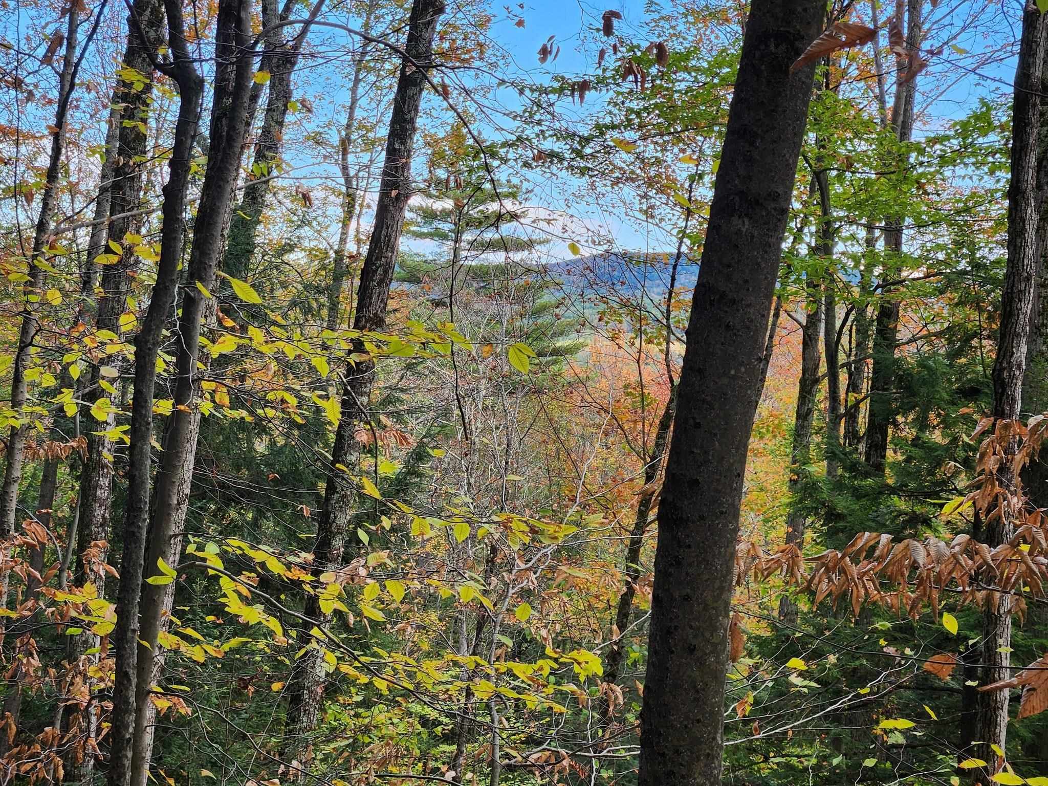 Bagley Hill Road, Unit 66 Warner, NH 03278 - Photo 4 of 22