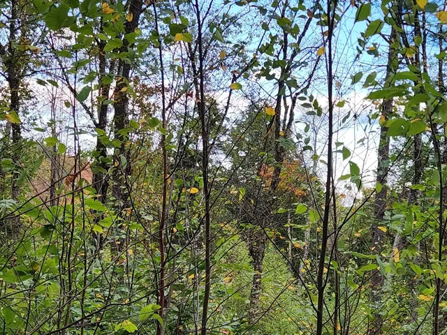 $153,000 | Bagley Hill Road, Unit 66, Warner, NH 03278