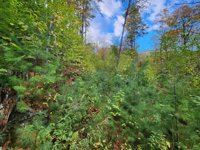 $153,000 | Bagley Hill Road, Unit 66, Warner, NH 03278