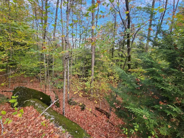 $153,000 | Bagley Hill Road, Unit 66, Warner, NH 03278