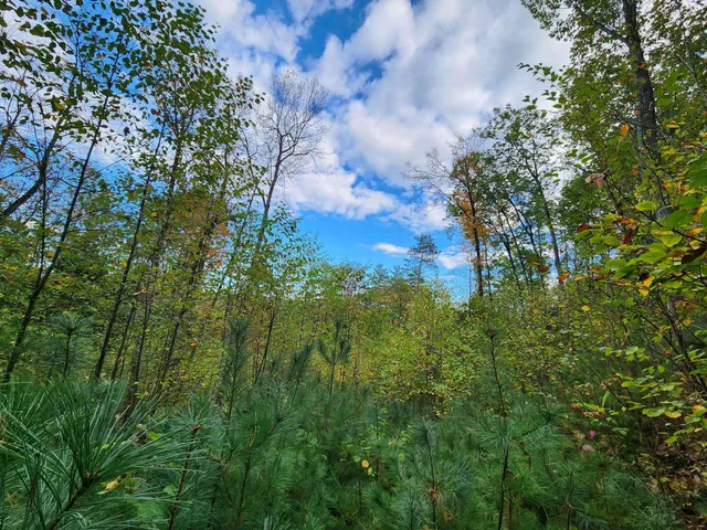 $153,000 | Bagley Hill Road, Unit 66, Warner, NH 03278