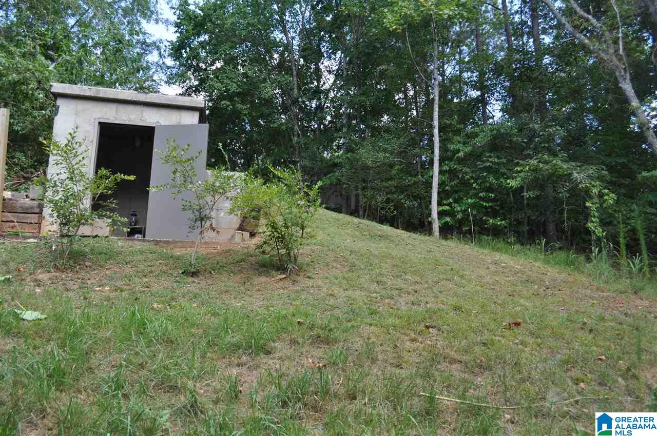 36 River Run Circle Lineville, AL 36266 - Photo 26 of 31