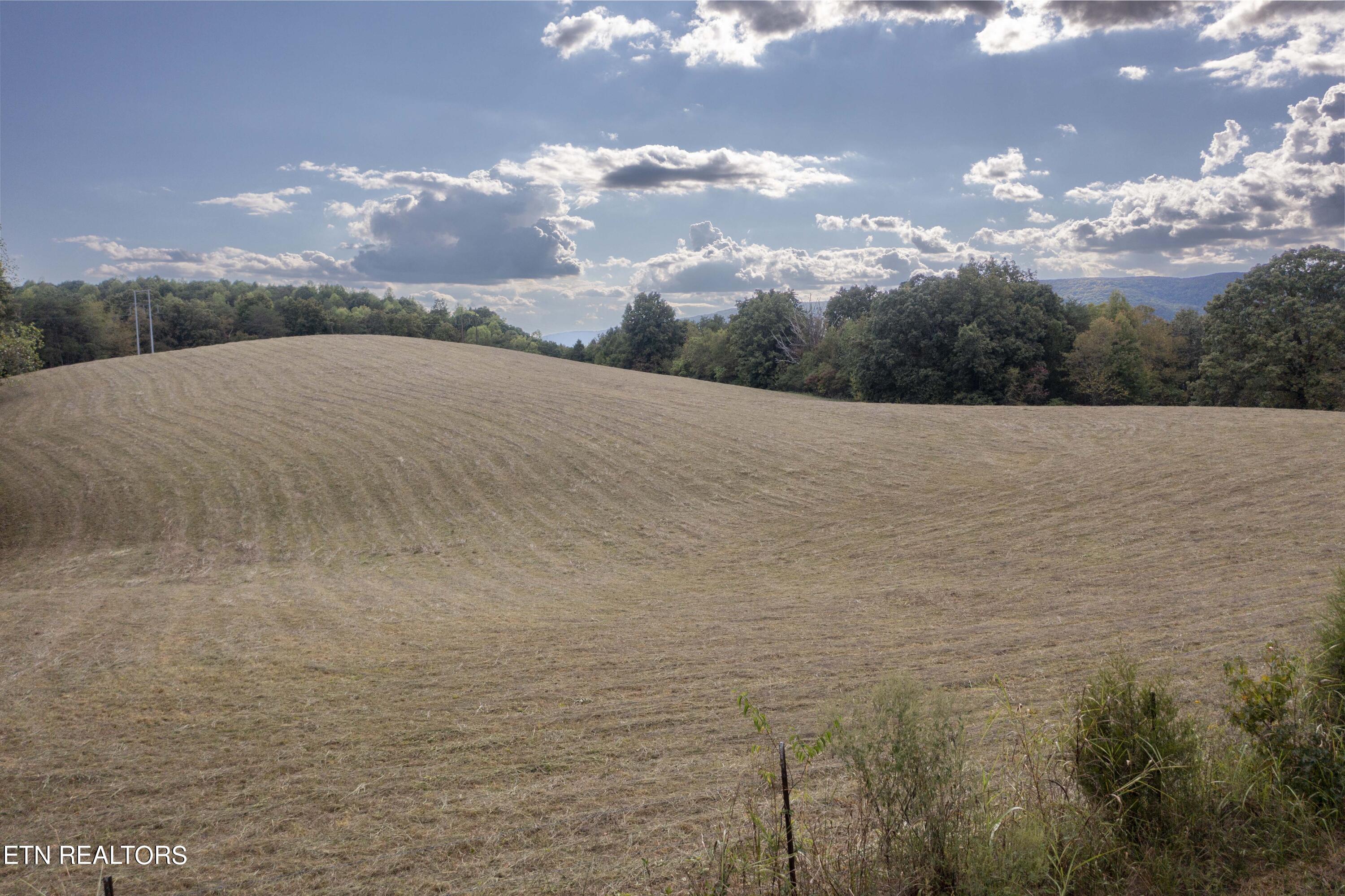 19.96-ac Pennine Road Spring City, TN 37381 - Photo 7 of 17 1