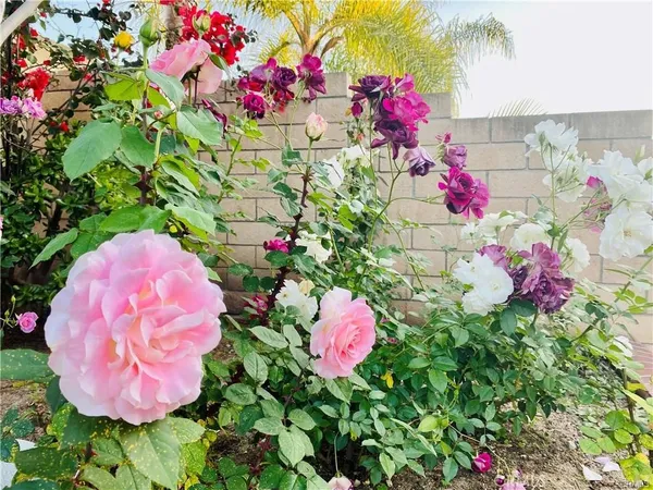 $1,600 | 15432 Verdun Circle, Irvine, CA 92604