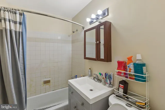 a view of a forest with trees