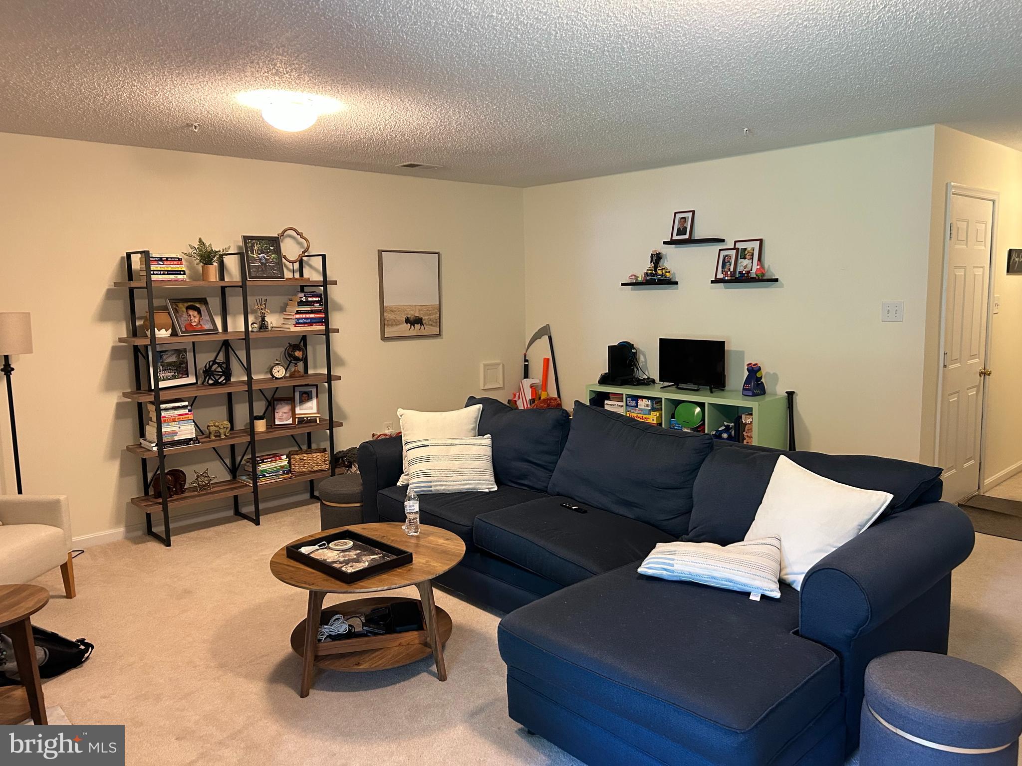 2304 Cold Meadow Way Silver Spring, MD 20906 - Photo 19 of 42 a living room with furniture a rug and a bookshelf